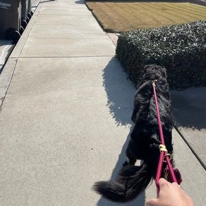 Meet your Posher, Isabelle